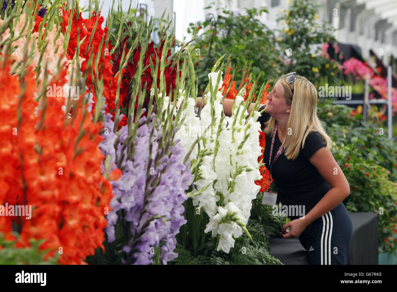 Gemma Greenwood puts the finishing touches to a display by Glens Gardens, on display at the RHS Hampton Court Palace Flower Show, East Molesey, Surrey. Stock Photo