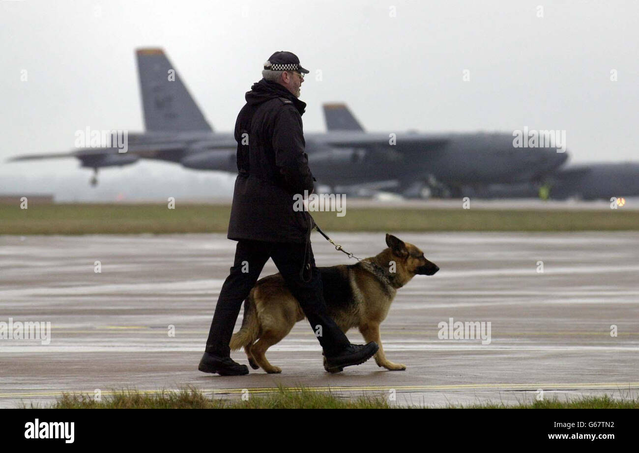 Mod Police Dog Mod police dog hi-res stock photography and images - Alamy