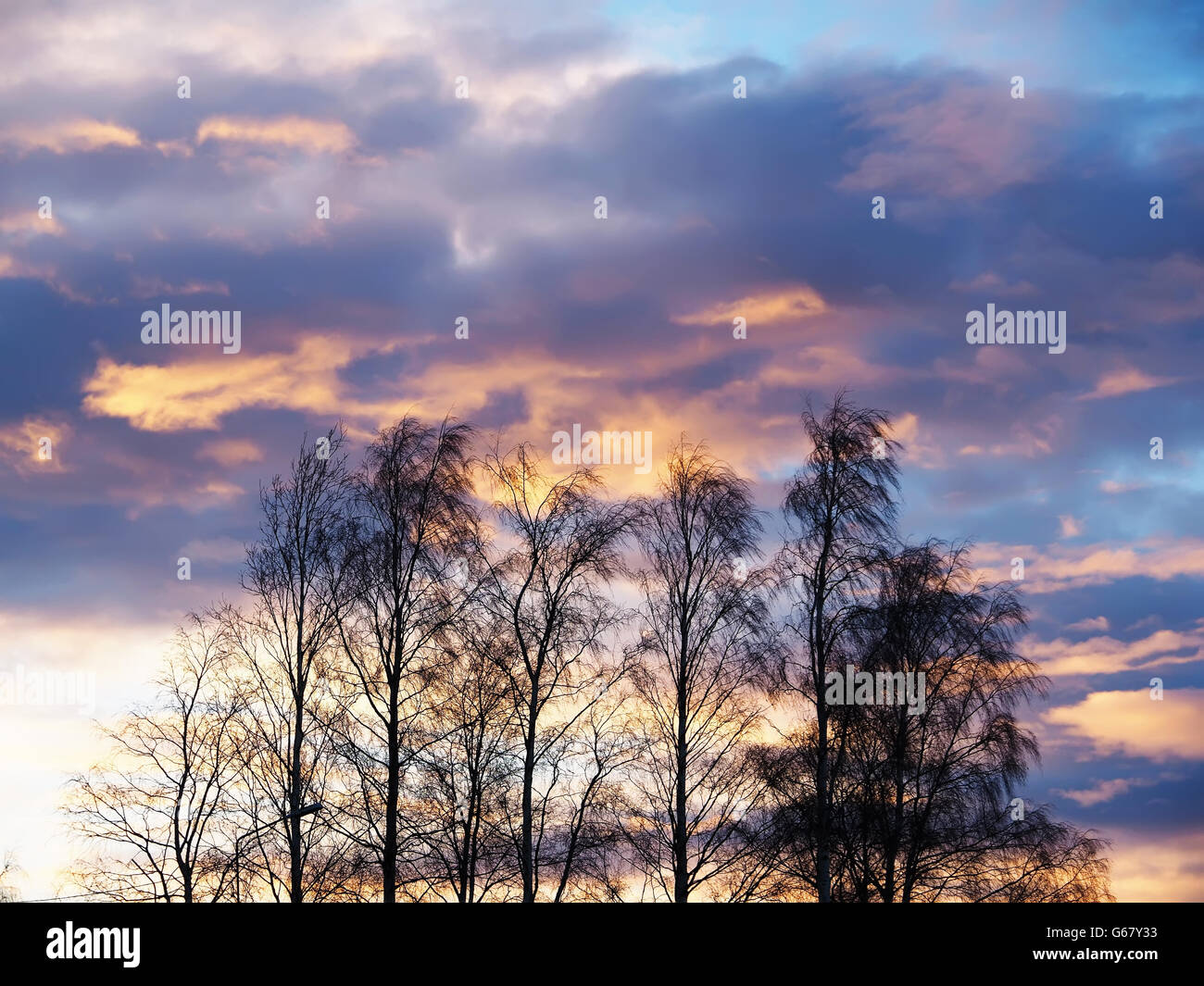 sunset sky with clouds above the forest Stock Photo - Alamy