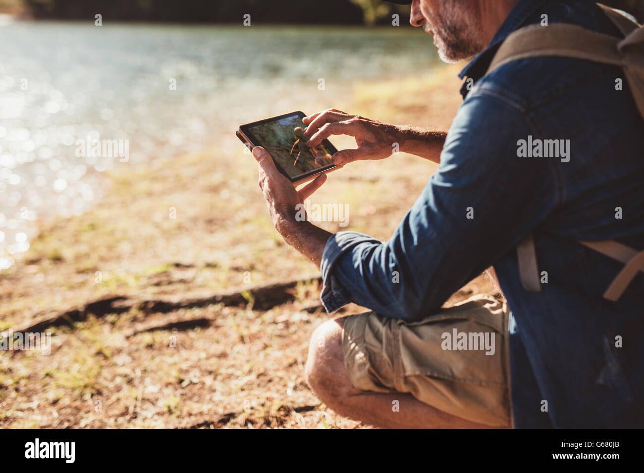 Close up portrait of senior male hiker with backpack using digital tab and looking for location during hike in nature. Mature ma Stock Photo