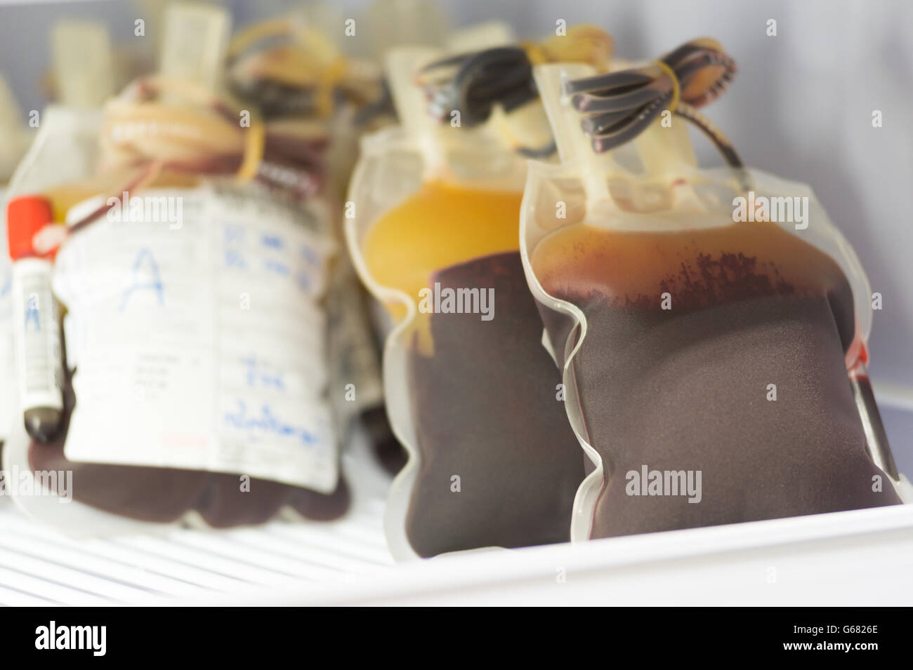 blood pouch in refrigerator at blood bank at laboratory hospital Stock Photo