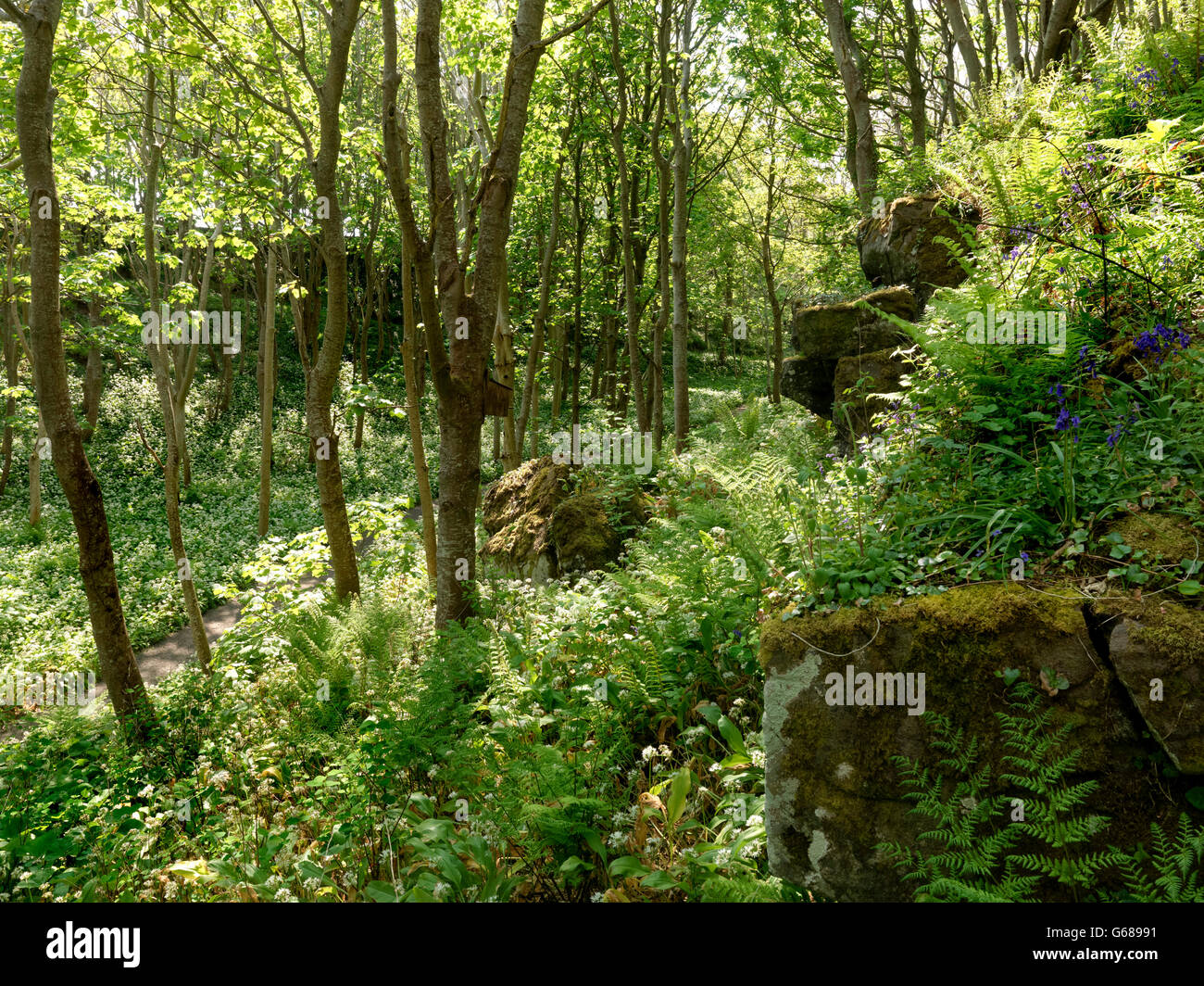 Downhill northern ireland hires stock photography and images Alamy