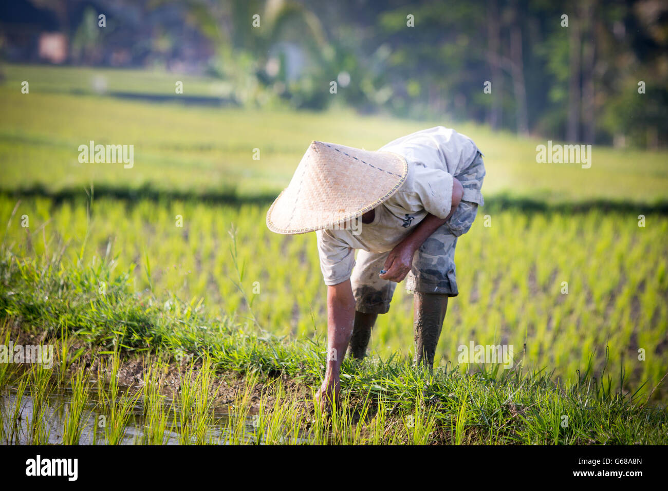 Indonesia people hi-res stock photography and images - Alamy