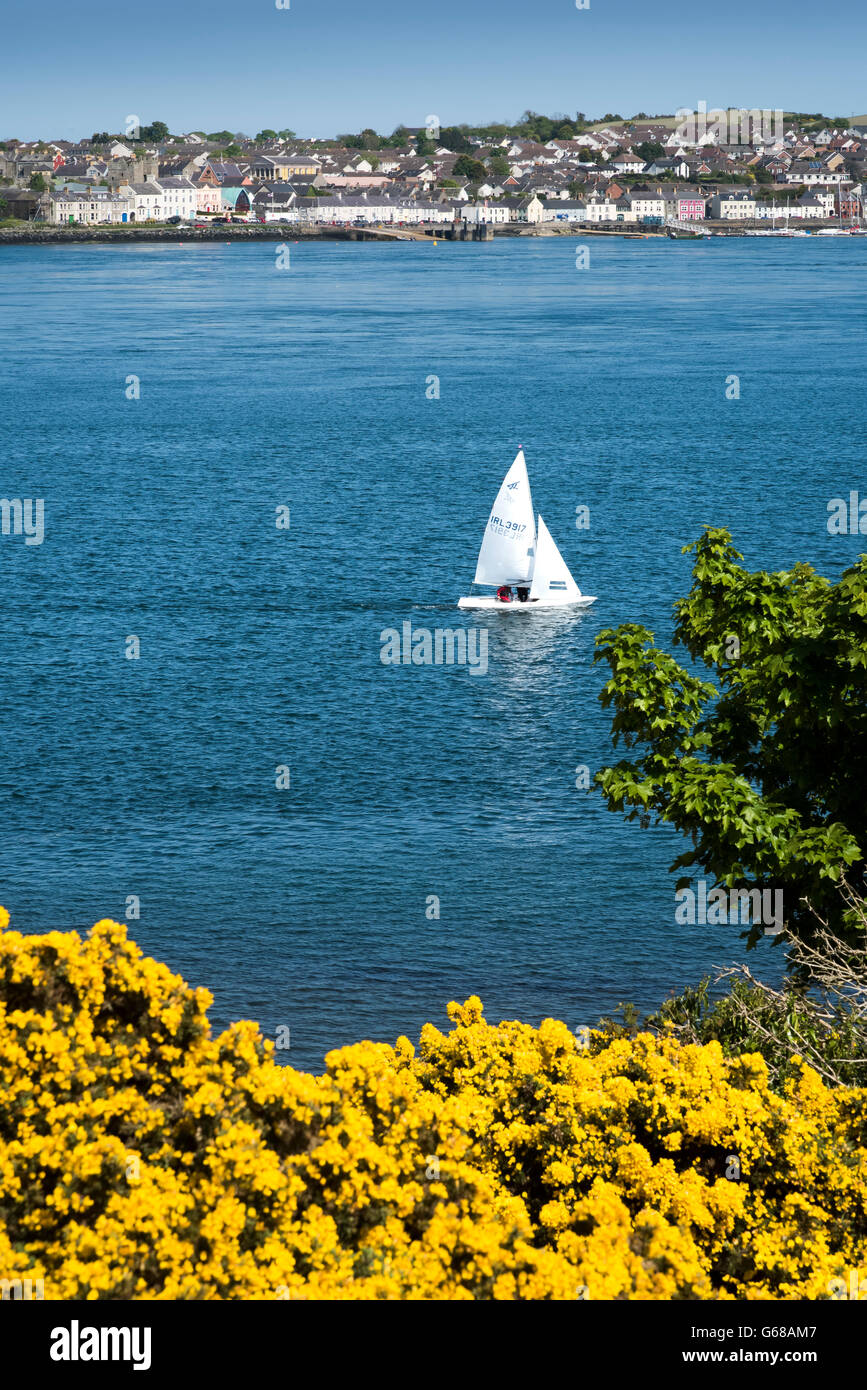 Portaferry from Strangford Lough, Co. Down, Northern Ireland. Stock Photo