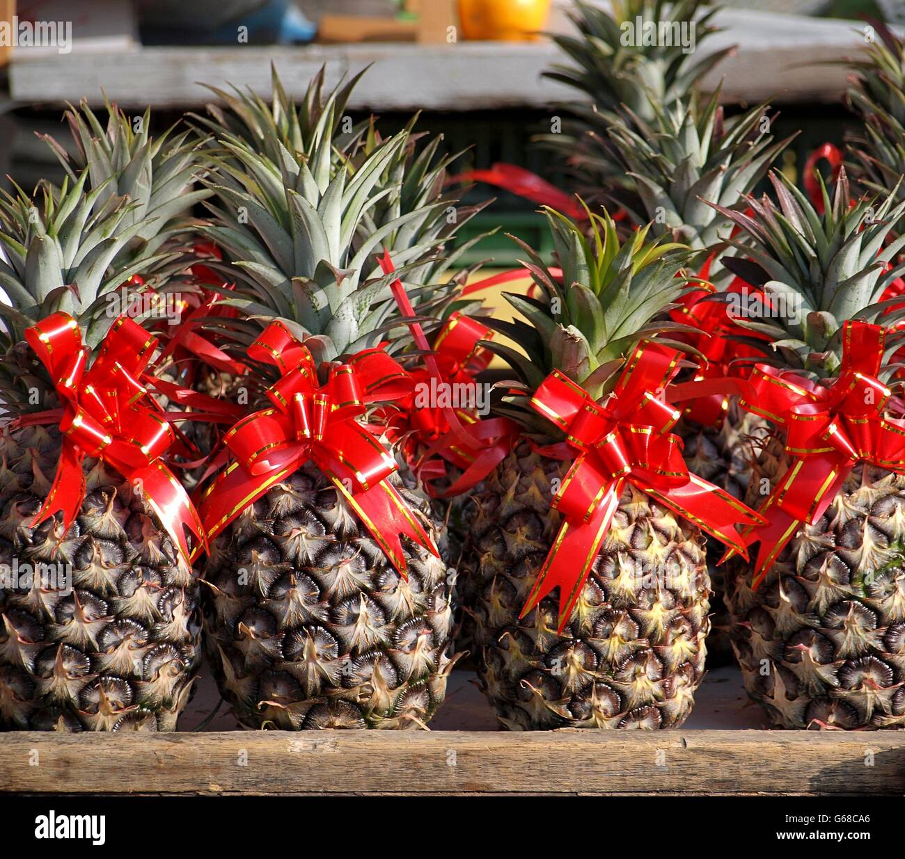 Pineapples are decorated with red ribbons as symbols of good luck for