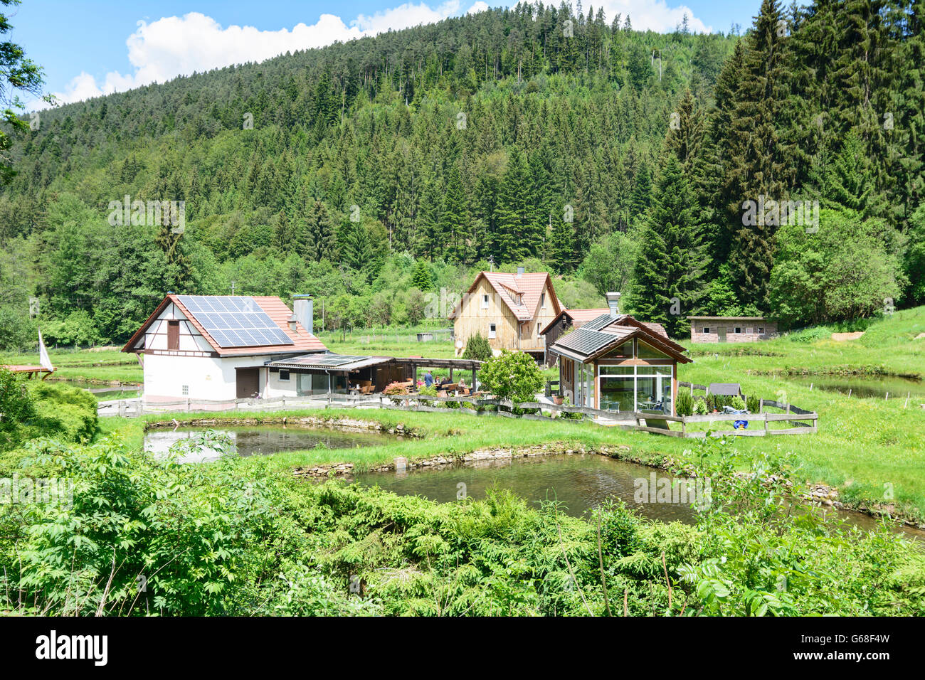 trout farming facility Calmbach, Restaurant in Würzbach valley, Bad Wildbad, Germany, Baden-Württemberg, Schwarzwald, Black Fore Stock Photo