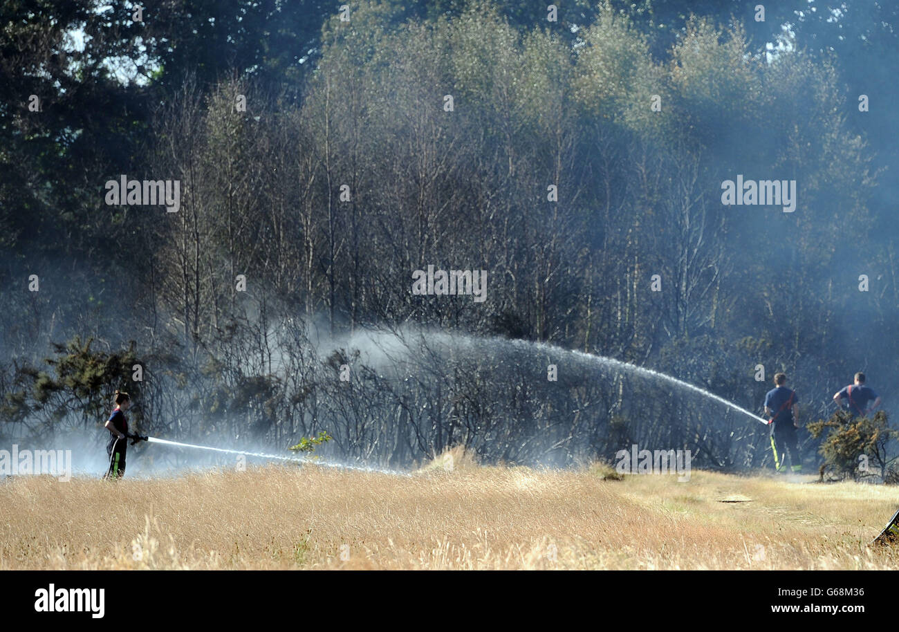 Firefighters tackle a grass fire on the edge of Epping Forest near Wanstead in north east London. Stock Photo