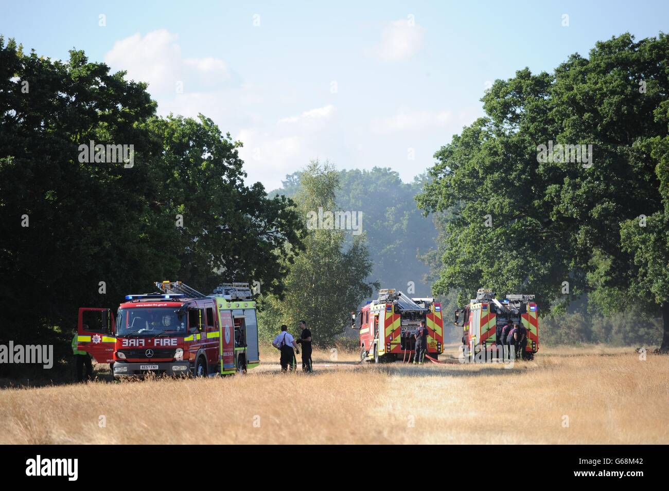 Firefighters tackle a grass fire on the edge of Epping Forest near Wanstead in north east London. Stock Photo