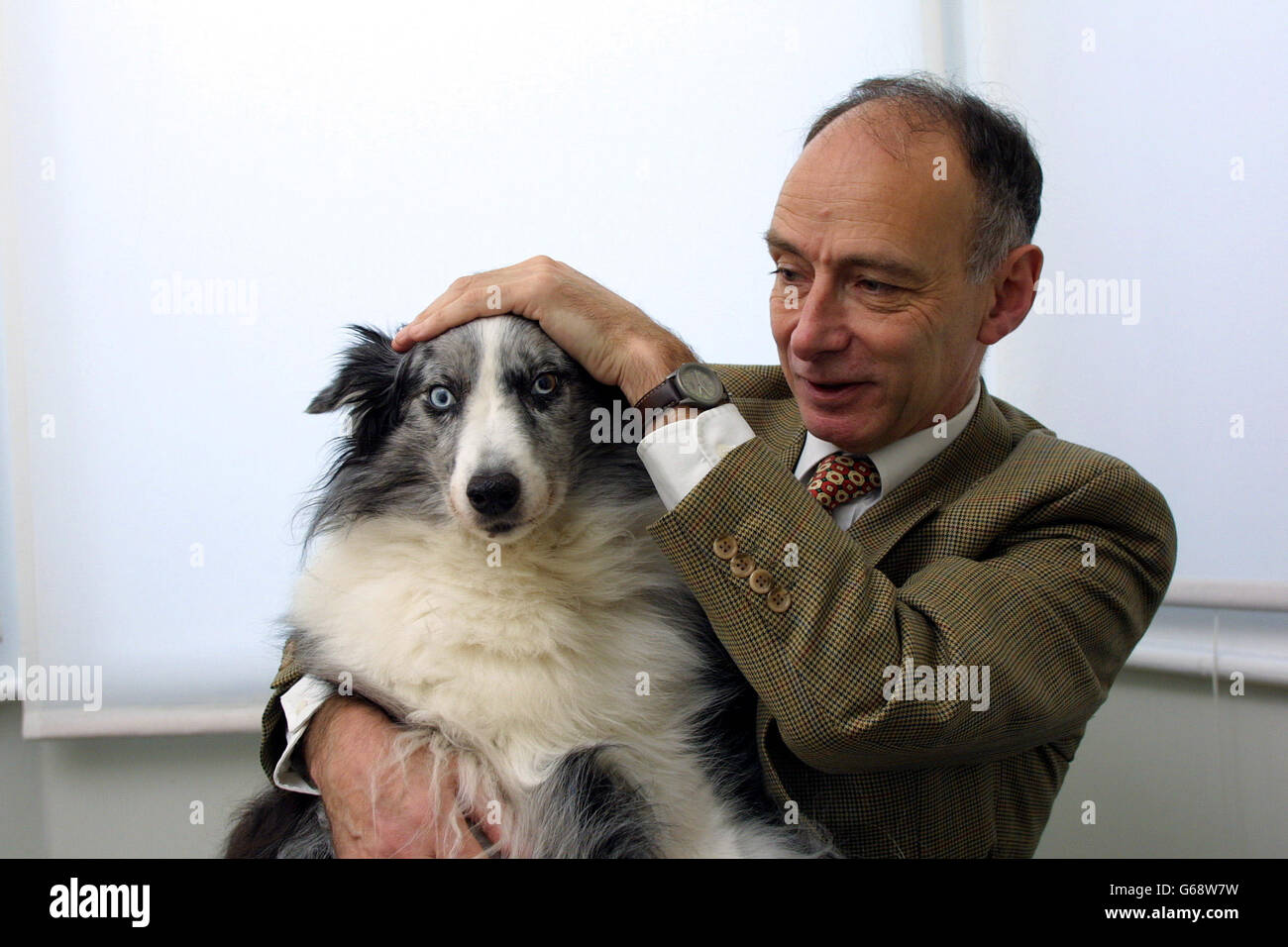 Peter J Conradi, author of 'Iris Murdoch: A Life' with his Blue Eyed Collie, Cloudy, who was the model  for the dog 'Anax' in  Murdoch's novel 'The Green Knight' (1993), at his home in south west London. Stock Photo