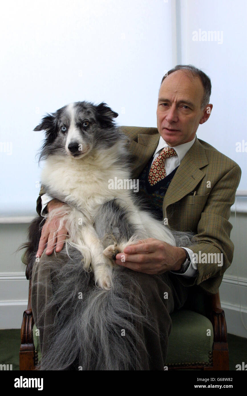 Peter J Conradi, author of 'Iris Murdoch: A Life' with his Blue Eyed Collie, Cloudy, who was the model  for the dog 'Anax' in  Murdoch's novel 'The Green Knight' (1993), at his home in south west London. Stock Photo