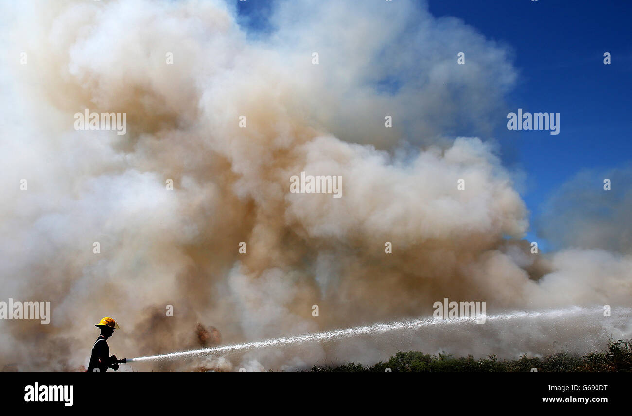 Howth Head fire Stock Photo - Alamy