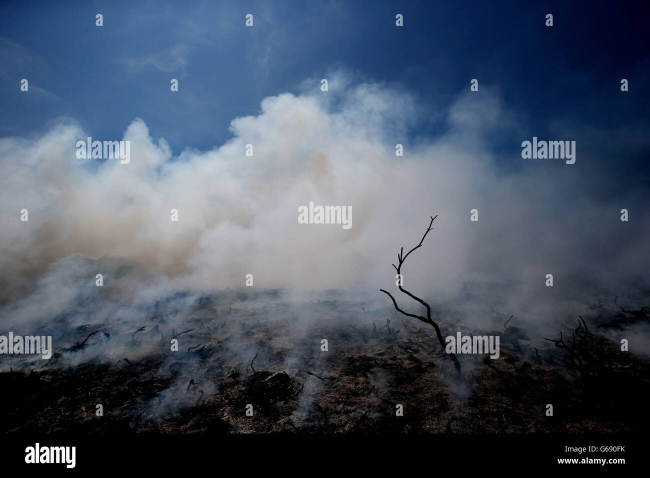 Keep away from fire hi-res stock photography and images - Alamy