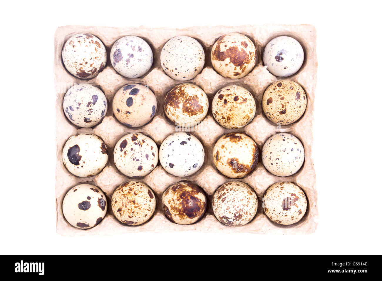 Quail eggs in cardboard tray isolated on white Stock Photo
