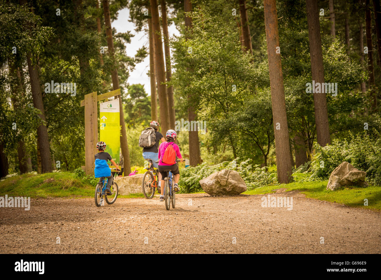 A family riding their mountain bikes through the forest on a sunny day