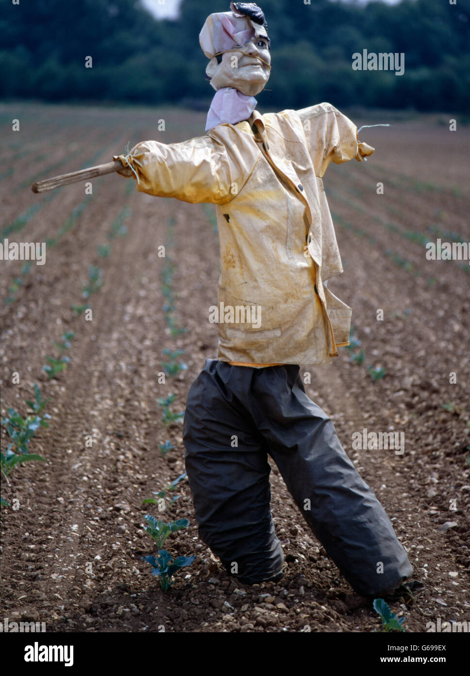 Scarecrow in the English landscape by Colin Garratt Stock Photo