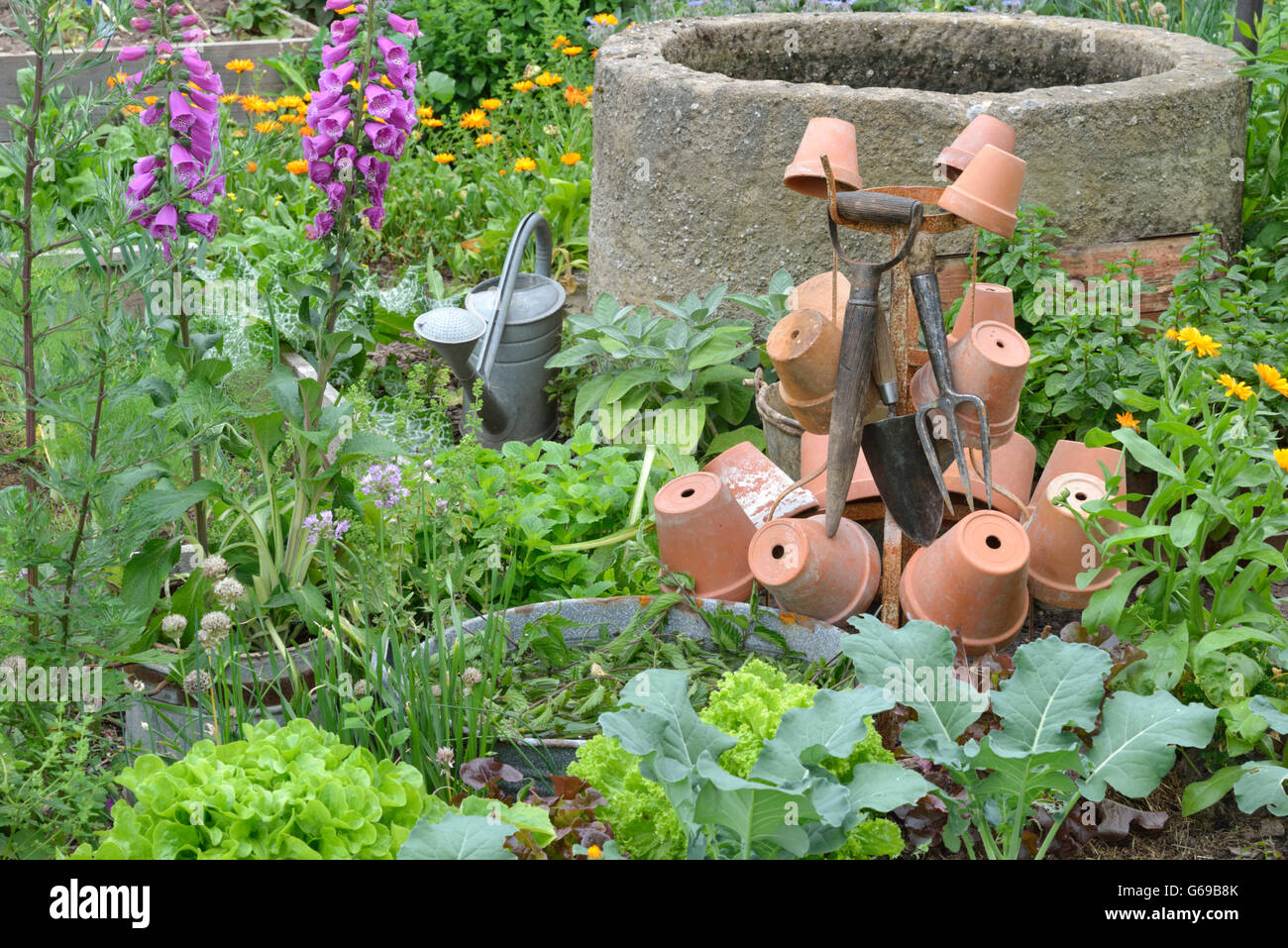 Clay pots for decoration in vegetables garden Stock Photo Alamy