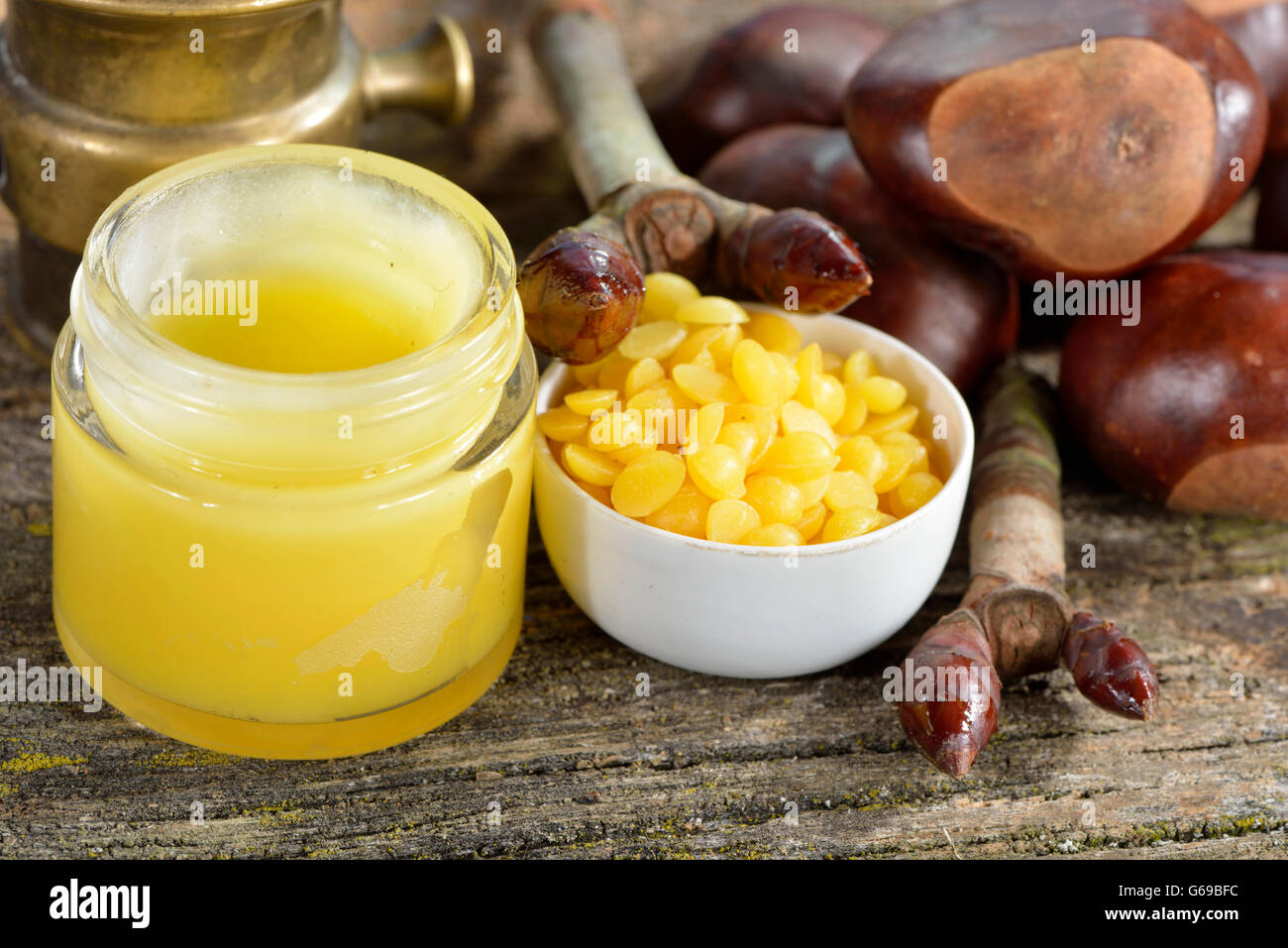 Production Chestnut bud ointment / (Aesculus hippocastanum) Stock Photo