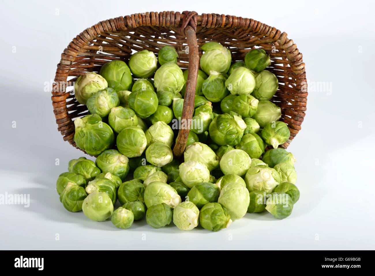 Brussels sprout / (Brassica oleracea var. gemmifera Stock Photo Alamy