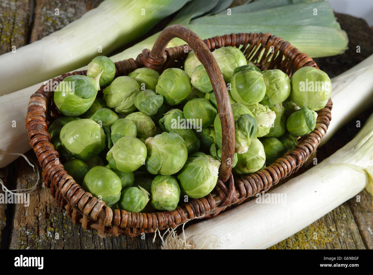 Brussels sprout, leek / (Brassica oleracea var. gemmifera, Allium porrum) Stock Photo