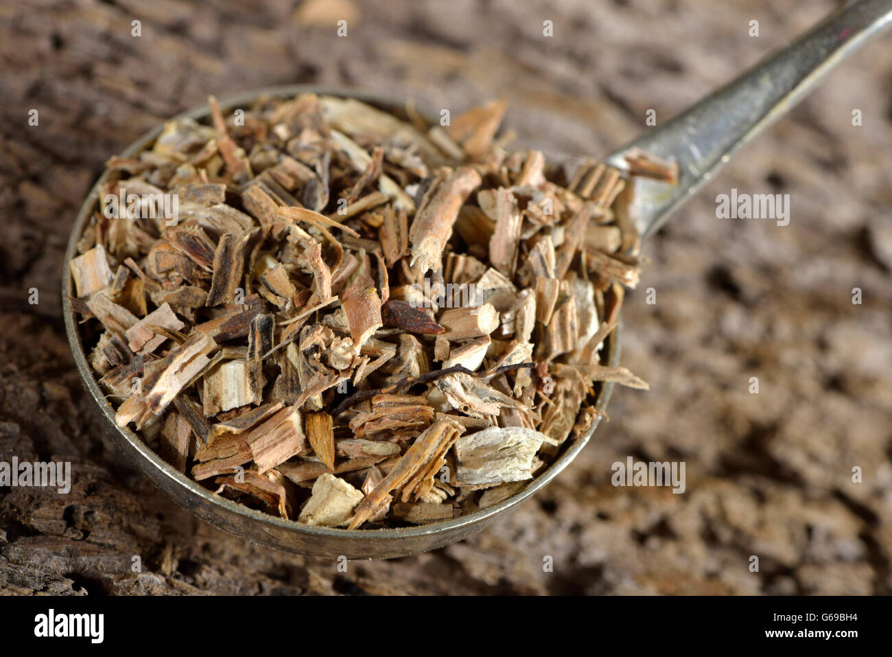 A snapshot of Sarsaparilla root morphology.