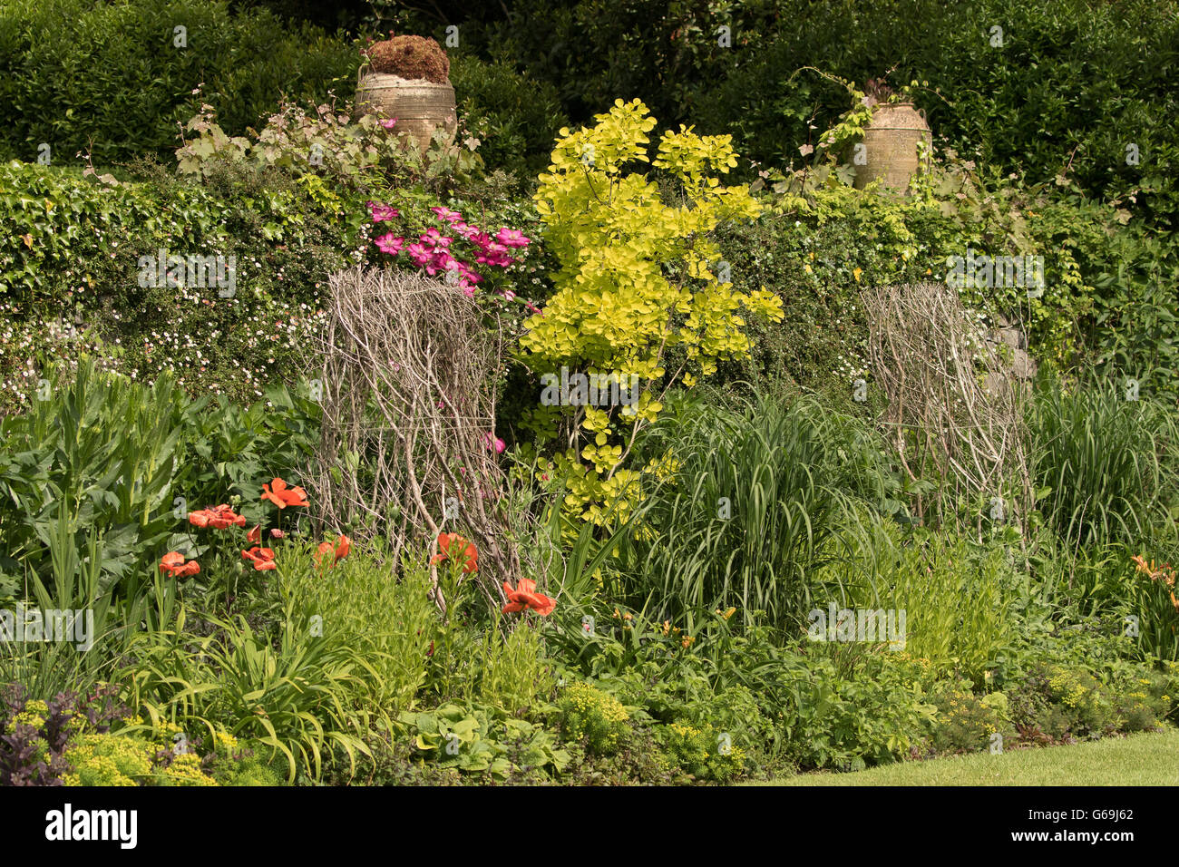 Gardens, Plas Newydd, Anglesey Stock Photo Alamy