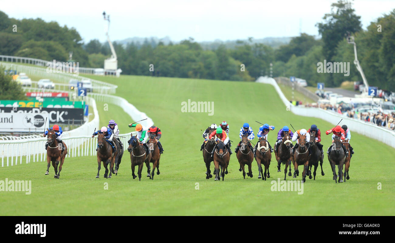 Horse Racing - 2013 Glorious Goodwood Festival - QIPCO Sussex Stakes Day - Goodwood Racecourse Stock Photo