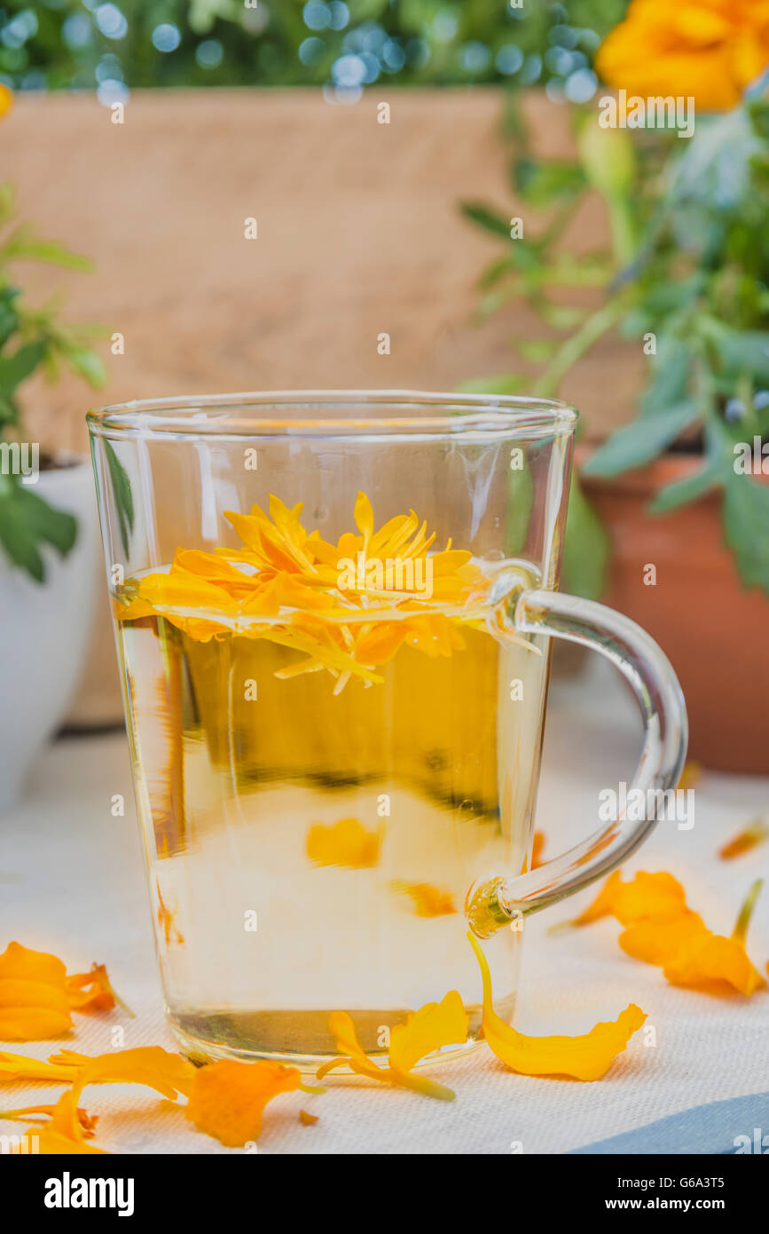 The infusion of the petals Tagetes in glass stands on a wooden table, on a linen tablecloth, flowers in the background Stock Photo