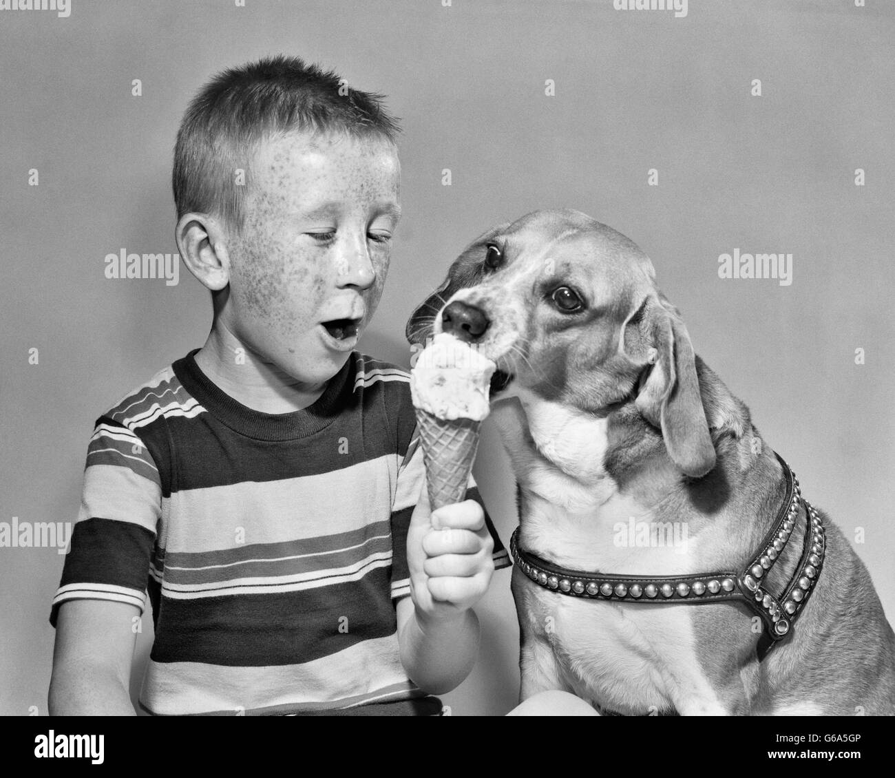 1950s FRECKLE FACE BOY SHARING ICE CREAM CONE WITH PET DOG Stock Photo