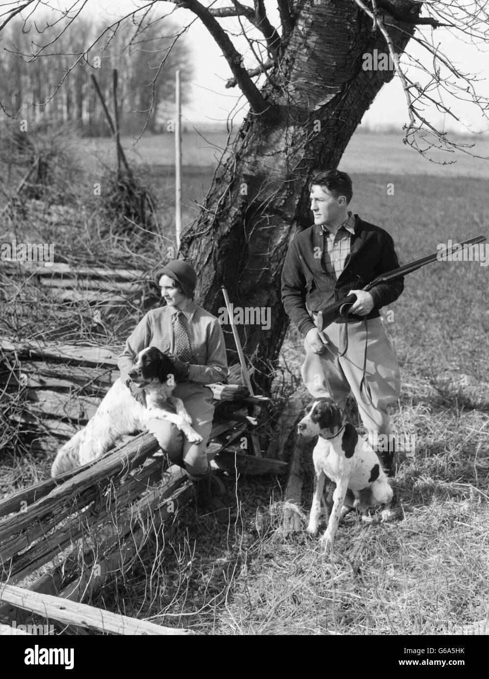 1930s COUPLE IN HUNTING GEAR WITH TWO SPRINGER SPANIEL DOGS WOMAN SITTING ON SPLIT RAIL FENCE MAN STANDING HOLDING SHOTGUN Stock Photo