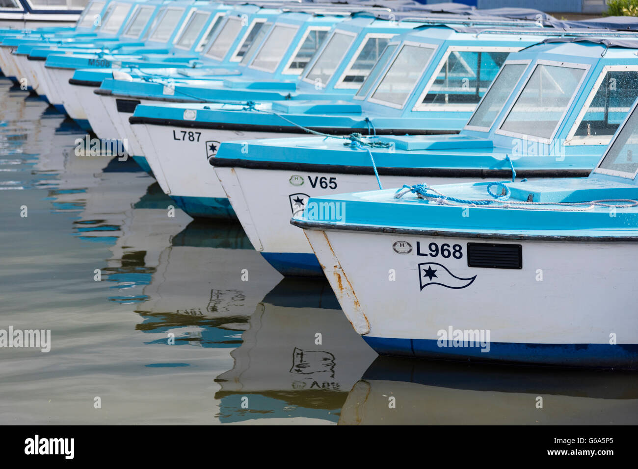 Moored hire boats at Wroxham in the Norfolk Broads National Park