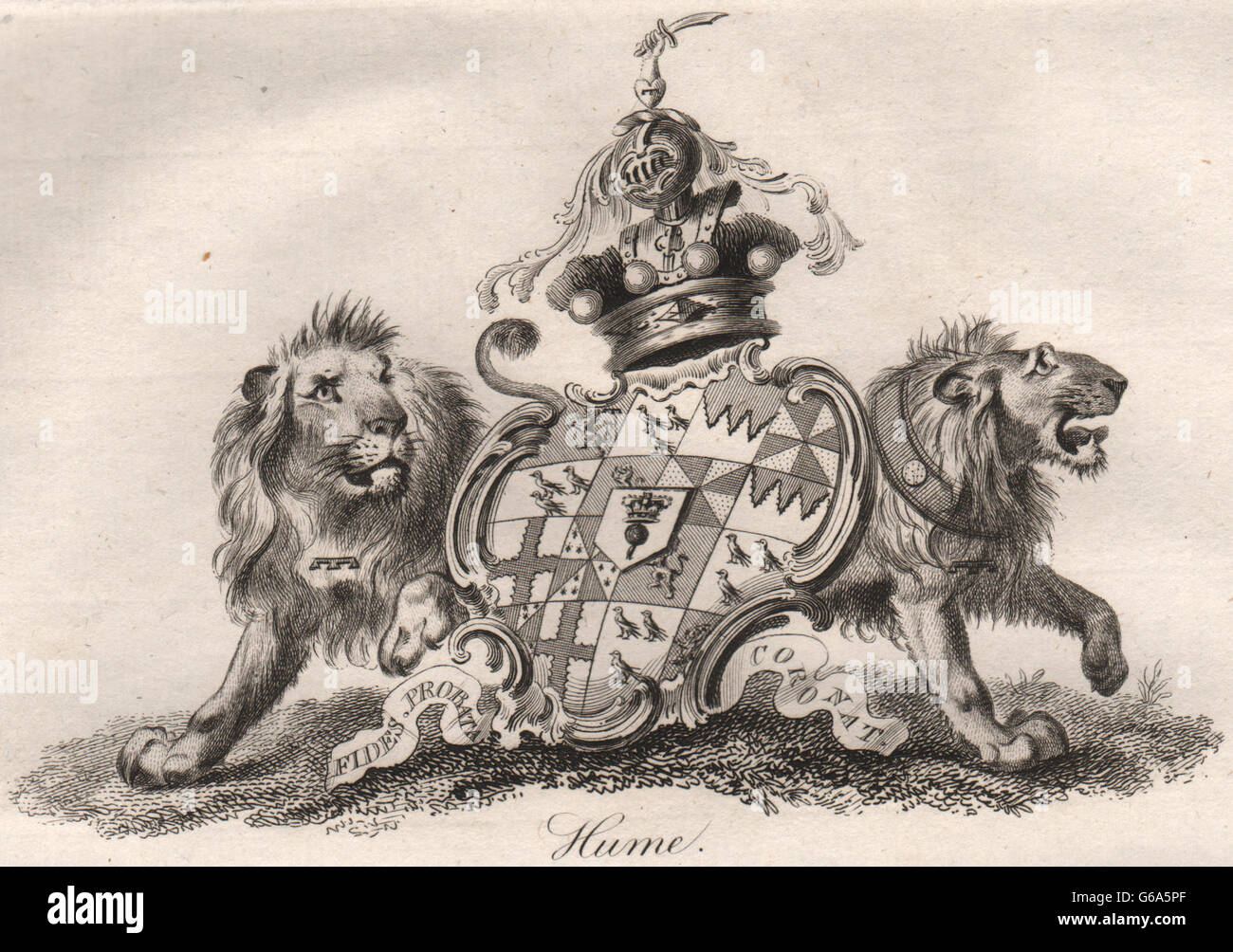 HUME: Coat of Arms. Heraldry, antique print 1790 Stock Photo