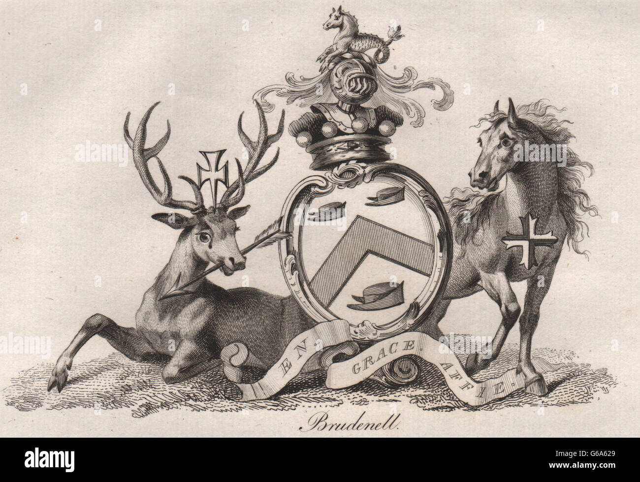 BRUDENELL Coat of Arms. Heraldry, antique print 1790 Stock Photo Alamy