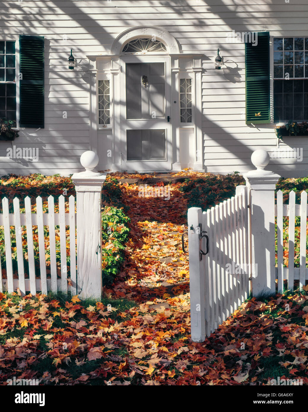 WHITE PICKET FENCE WITH OPEN GATE COLONIAL HOUSE AUTUMN LEAVES CRAFTSBURY VERMONT USA Stock Photo
