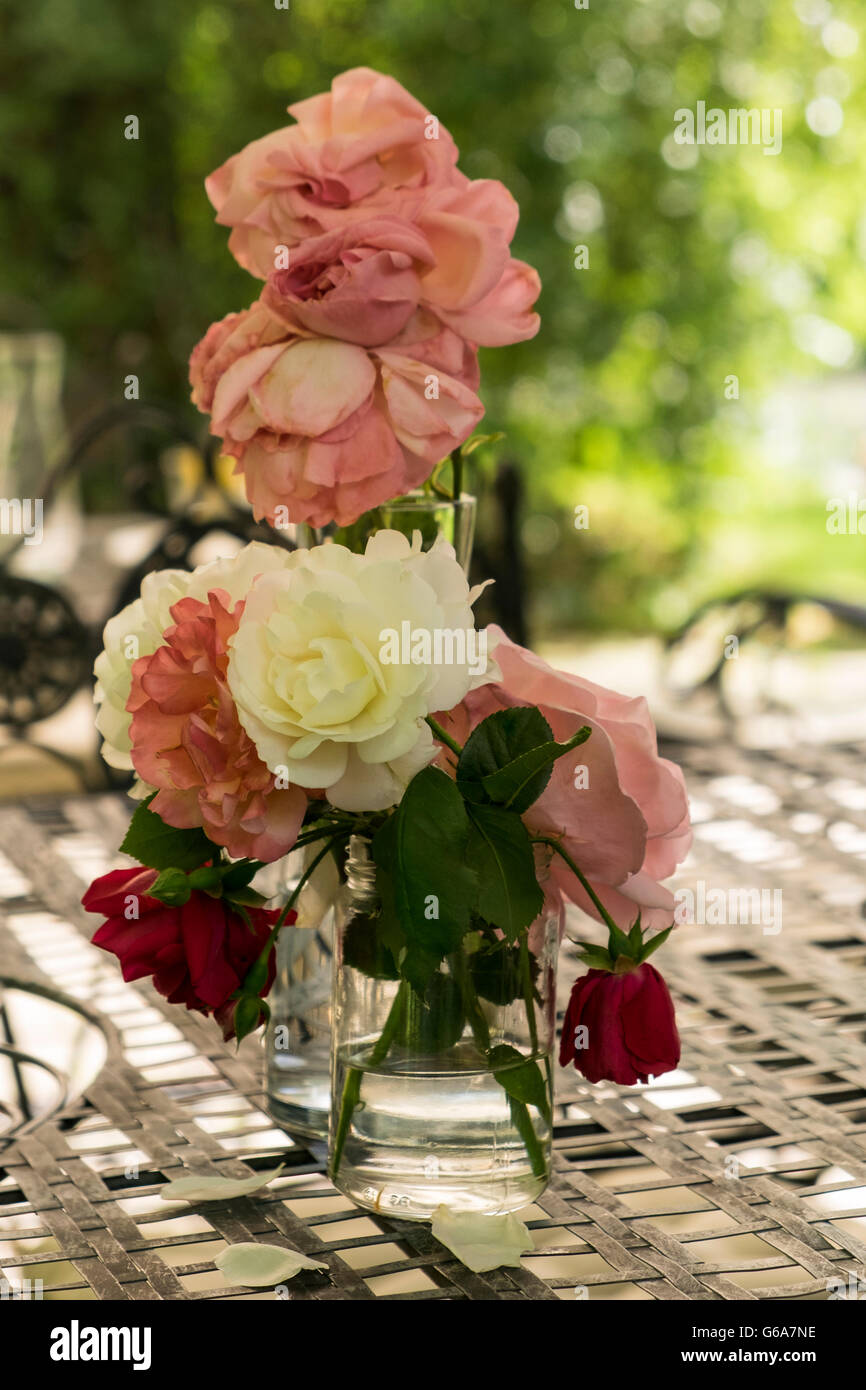Wild roses drooping in a vase on an outside metal table Stock Photo Alamy