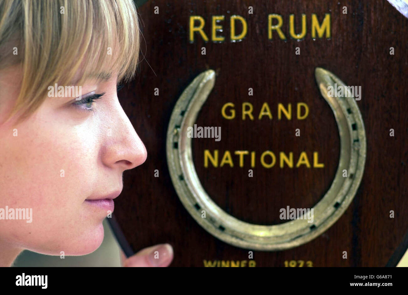 Red Rum Horseshoe Auction. Stock Photo