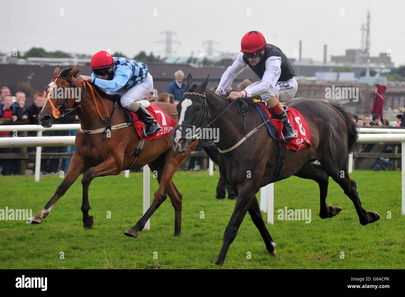 Jockey Pat Smullen (right) rides Unaccompanied to victory in the Guinness Race during day five of the 2013 Galway Summer Festival at Galway Racecourse, Ballybrit, Ireland. Stock Photo