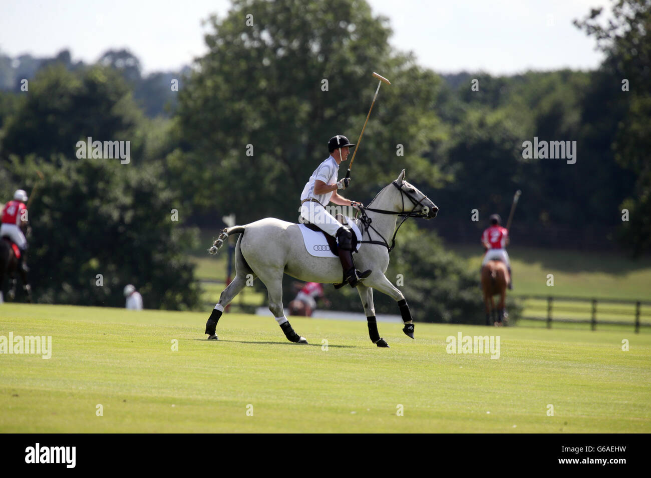 Prince William plays in the Audi Polo Challenge at Cowarth Park, Ascot, Berkshire. The Prince played in the same team as his brother Harry in aid of the Charities SkillForce and the Royal Marsden Cancer Charity. Stock Photo