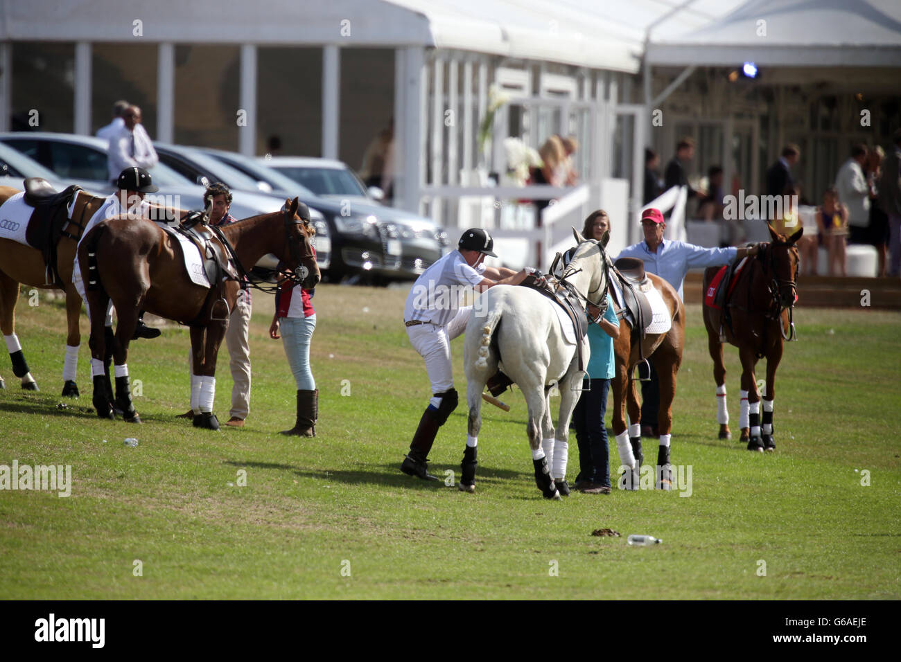 Prince harry audi polo challenge cowarth park hi-res stock photography and  images - Alamy