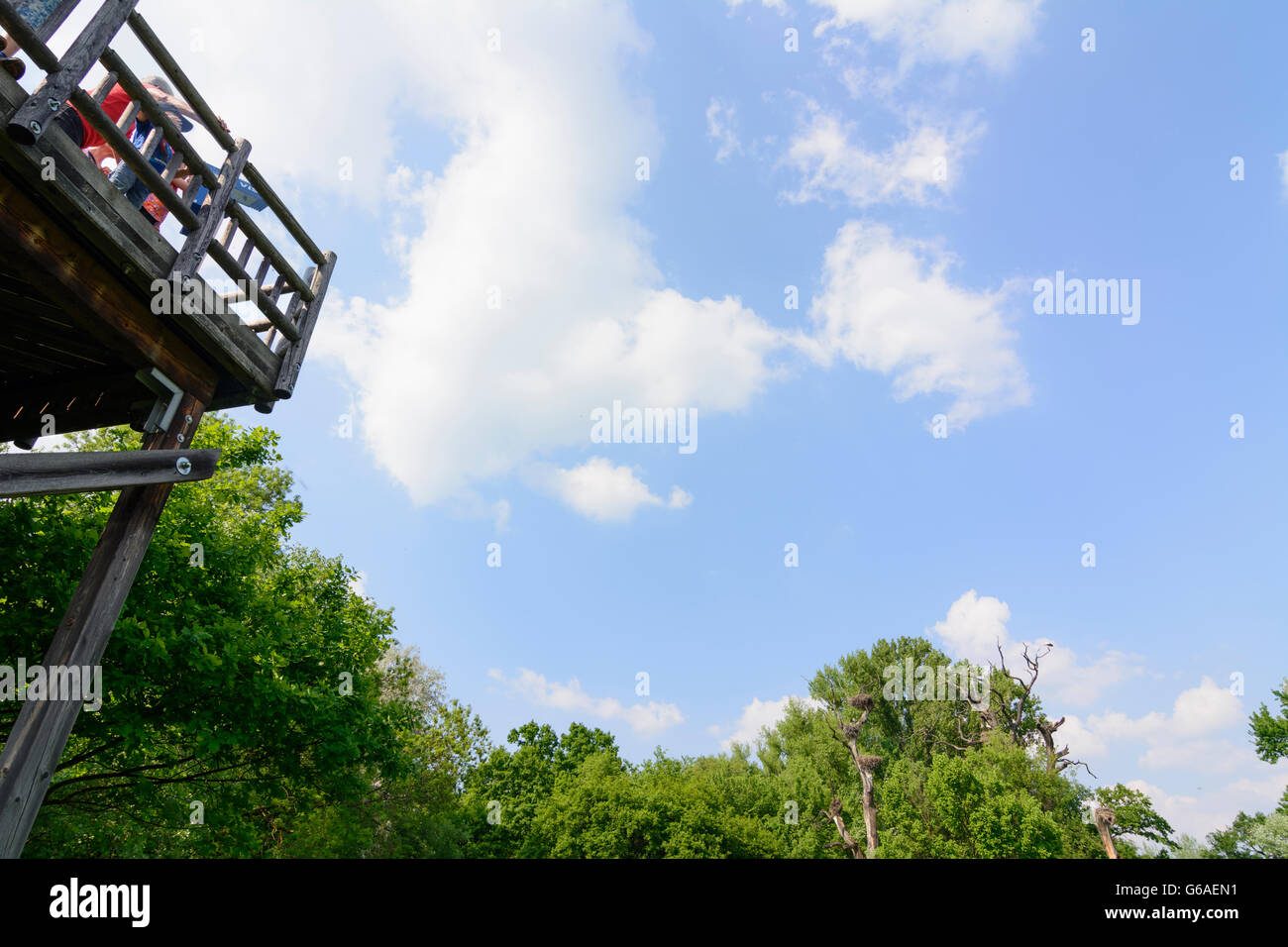 WWF nature reserve Marchegg ( also nature reserve Lower Marchauen ) : observation tower at the stork colony, Marchegg, Austria, Stock Photo