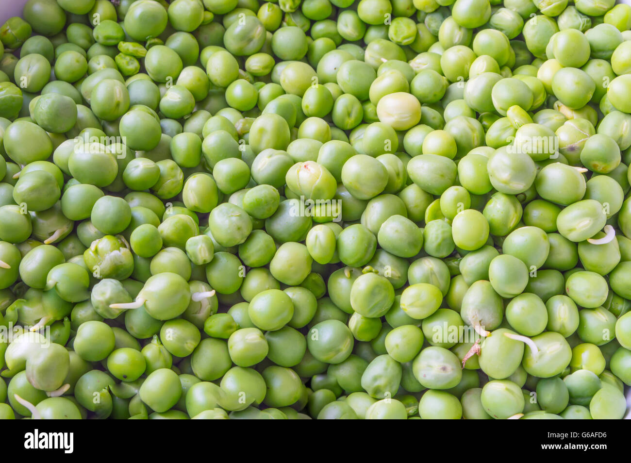 Shelled Green Peas Close up Stock Photo