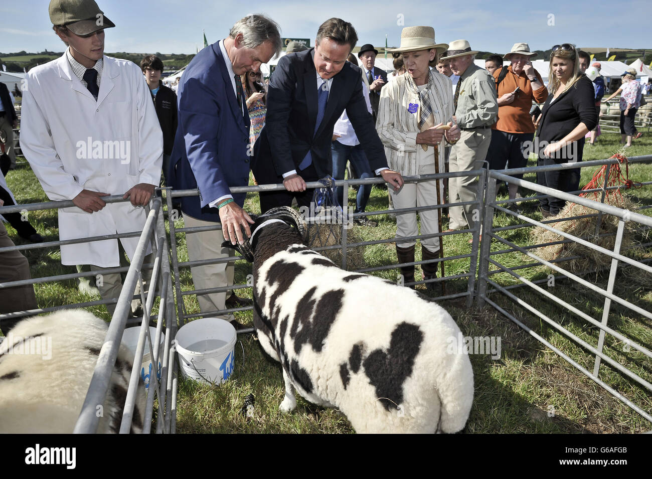 David Cameron agricultural visit in Devon Stock Photo