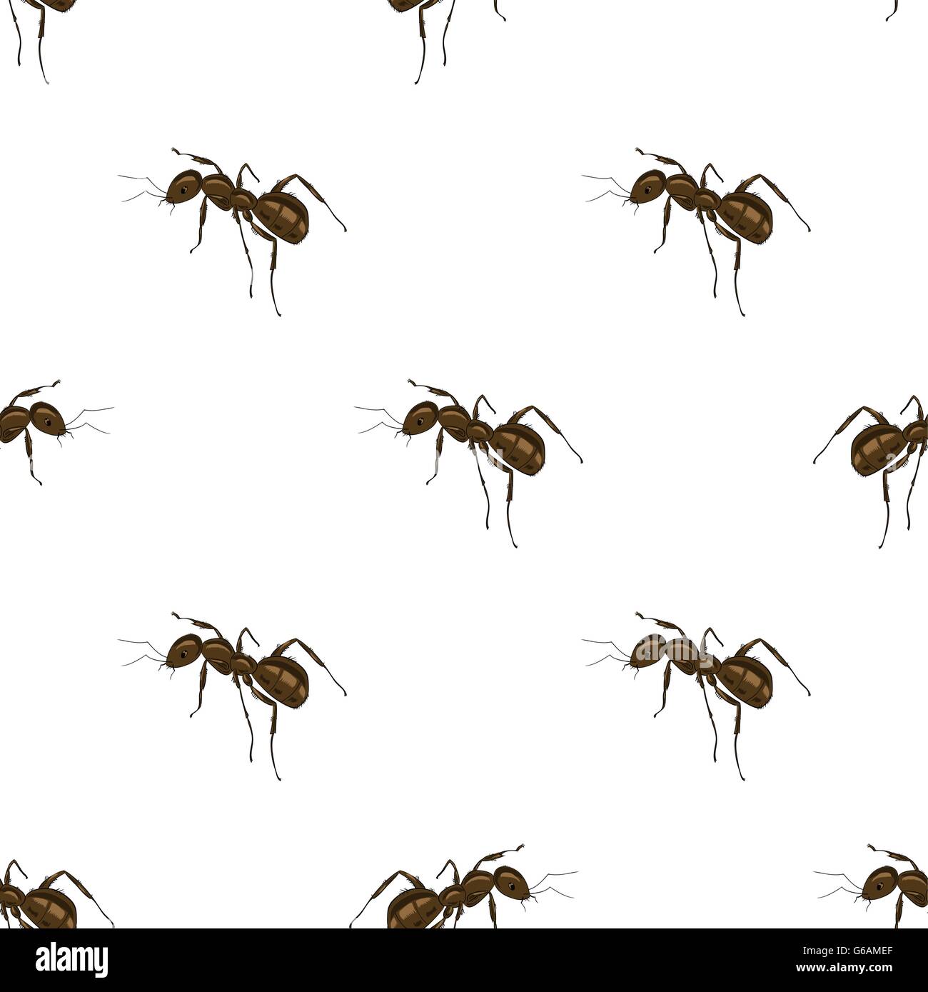 Ant Isolated on White Background. Stock Vector