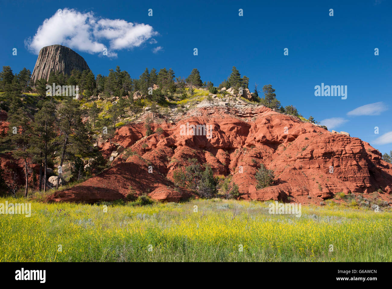 Red rock formation near Devils Tower in Wyoming, USA Stock Photo - Alamy