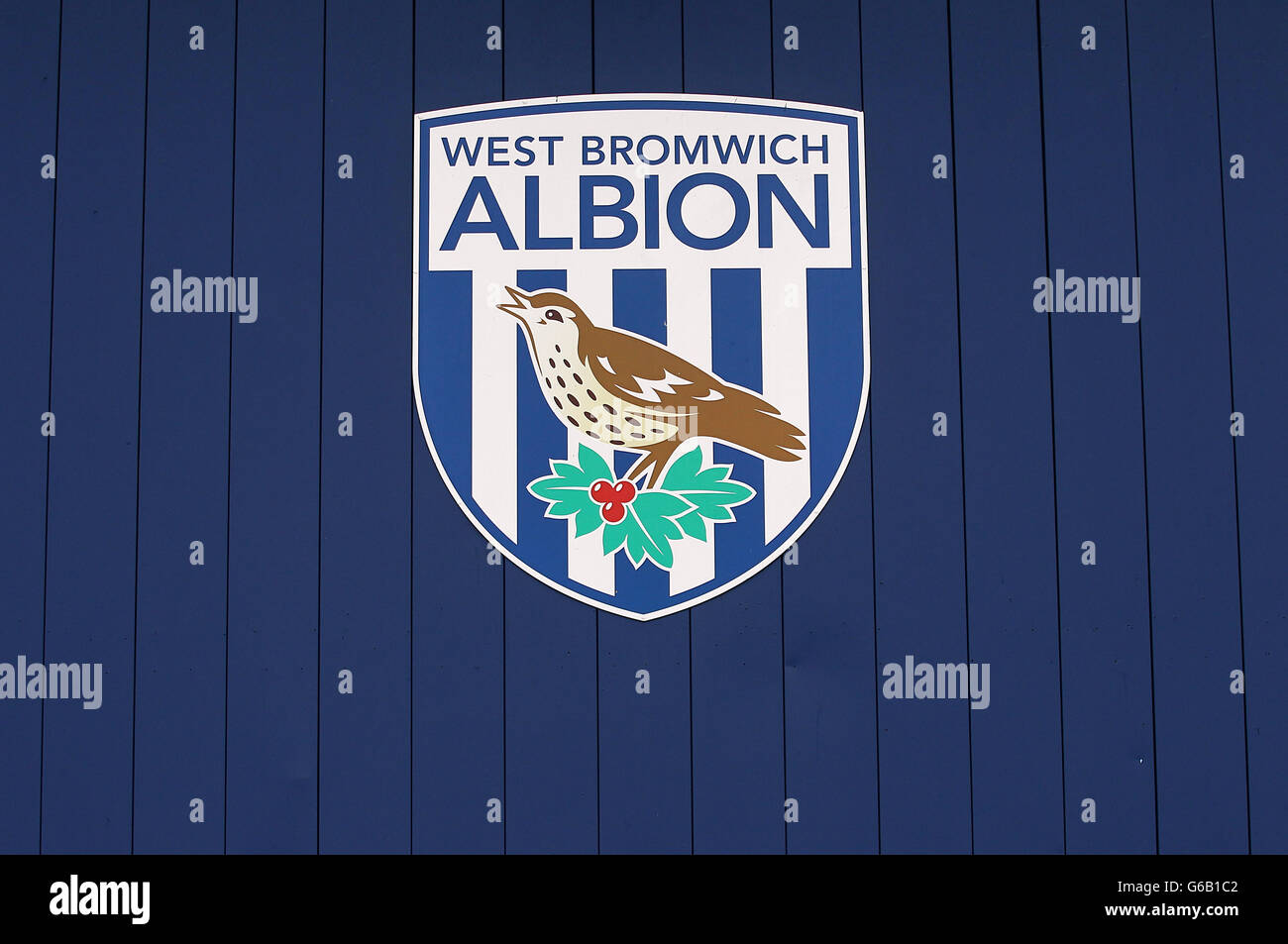 West Bromwich Albion: The future of Marc-Antoine Fortune is a key issue West Bromwich Albion: The future of Marc-Antoine Fortune is a key issue