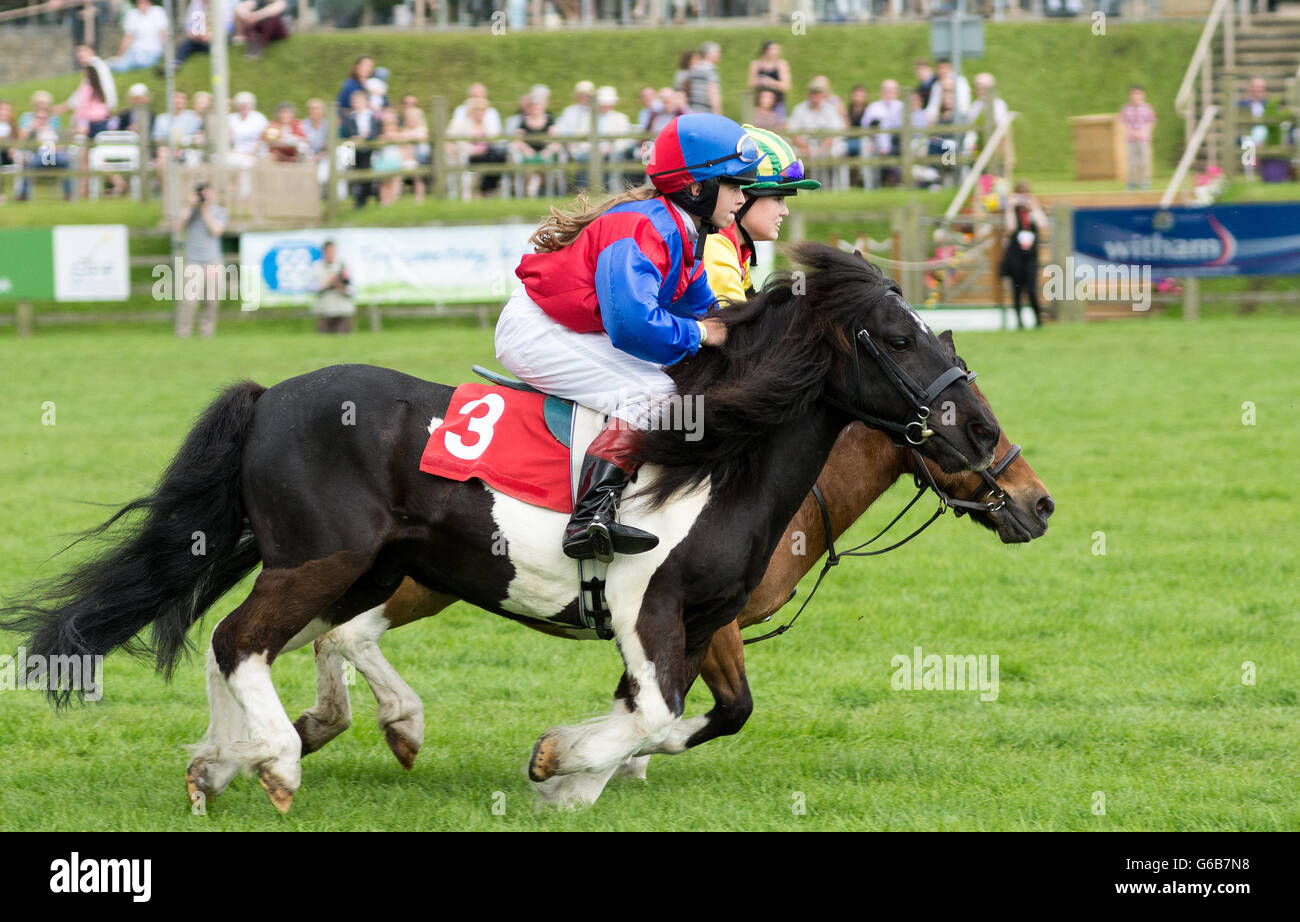 Olympia horse show 2016 hires stock photography and images Alamy