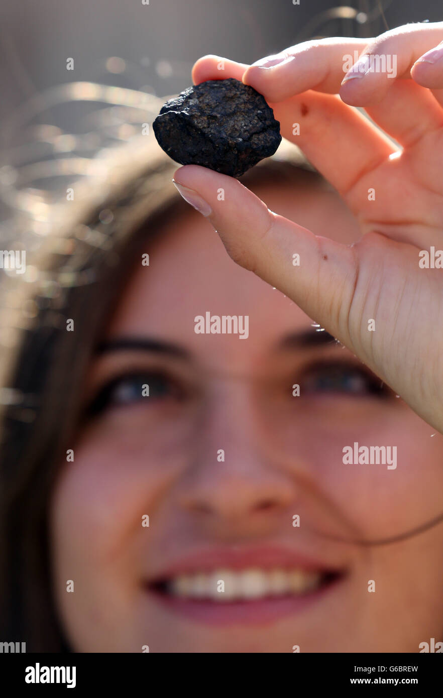 Meteorite auction hires stock photography and images Alamy