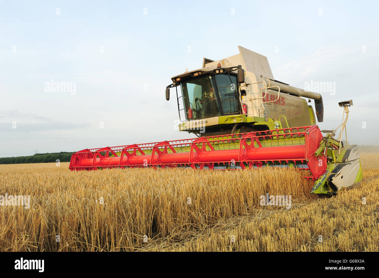 Summer weather Aug 20th. A combine harvester at work in a field outside York. Stock Photo