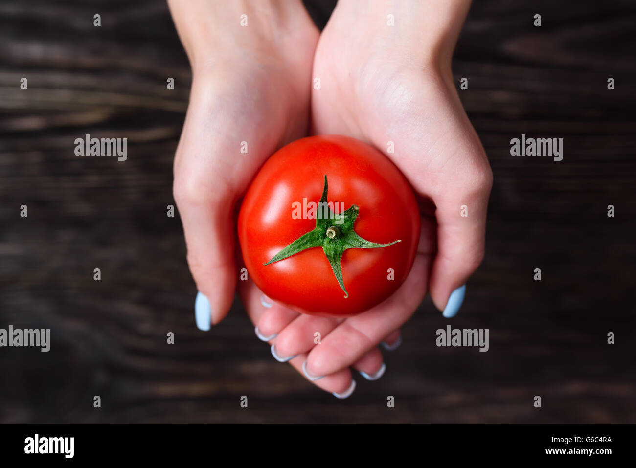 The girl in the hands holding a tomato Stock Photo - Alamy