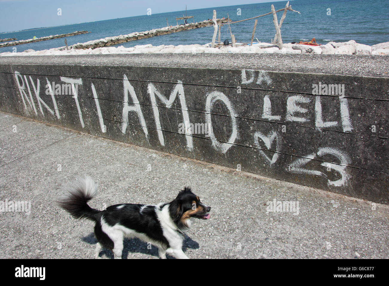 A dog near a graffiti in Lido di Venezia, Italy Stock Photo