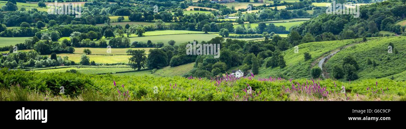 A beautiful panoramic view of the green grazing hiils of Herefordshire, UK Stock Photo